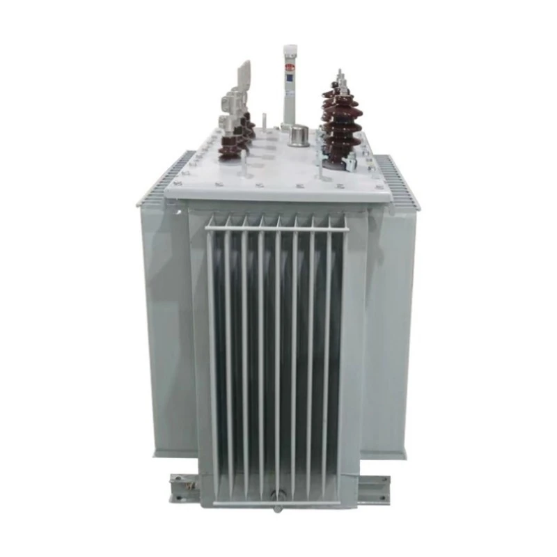 S13 Single Phase Oleum immersum Electrical Transformer