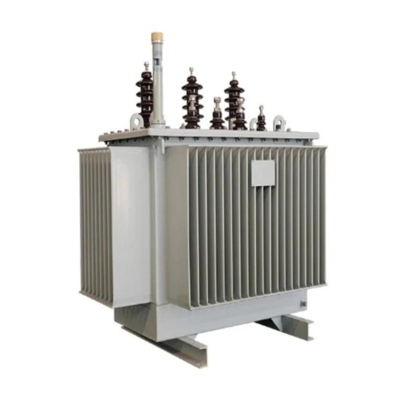 S13 Single Phase Oleum immersum Electrical Transformer
